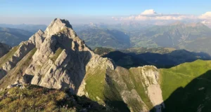 0bbd2b0d-8cd3-4d52-8655-d6b7438f043a