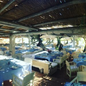 13721042_633573903475629_1217677146_n