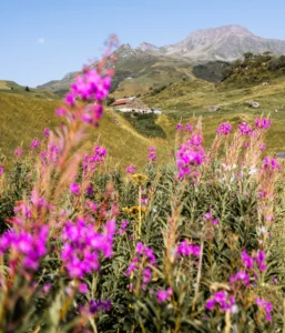 20250821_Hike_KyraFrey1-scaled