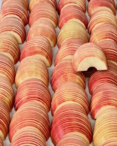 424602484_18049141072726798_8149406302248546146_n