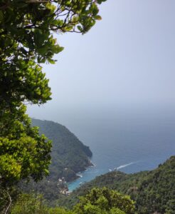 499602339_1128718572634234_6331884156464045446_n