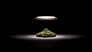 the-alpina-gstaad_-8